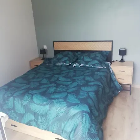 Magnifique Sur Le Bassin D'arcachon - Jacuzzi+piscine - 8a10pers Villa *